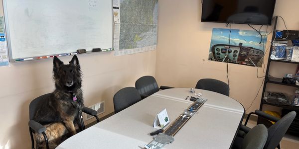 A dog sitting on an office chair in a meeting room with maps and a TV.